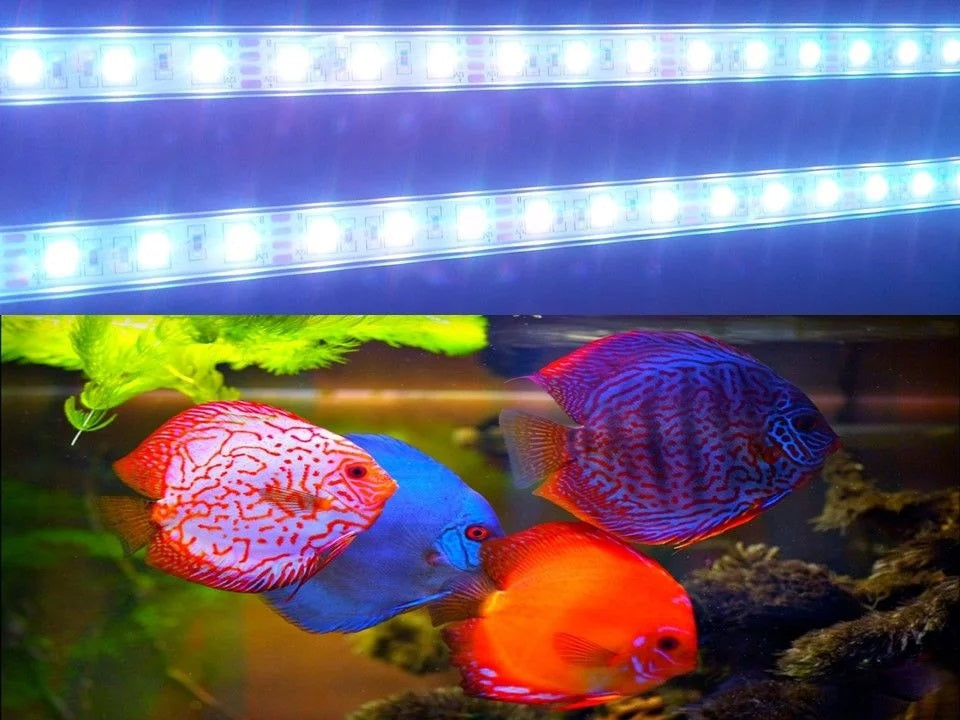 תאורת לד RGB לאקווריום עמיד למים בגוון לבן 66 ס